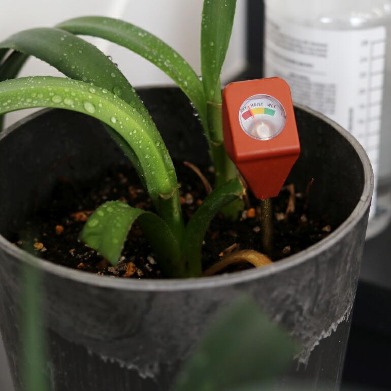 土壌水分計 湿度計 ハイドロメーター アナログ ガーデニング 鉢植え おしゃれ KIKKERLAND キッカーランド Garden Hydrometer  ガーデン用湿度計 | KIKKERLAND | 05