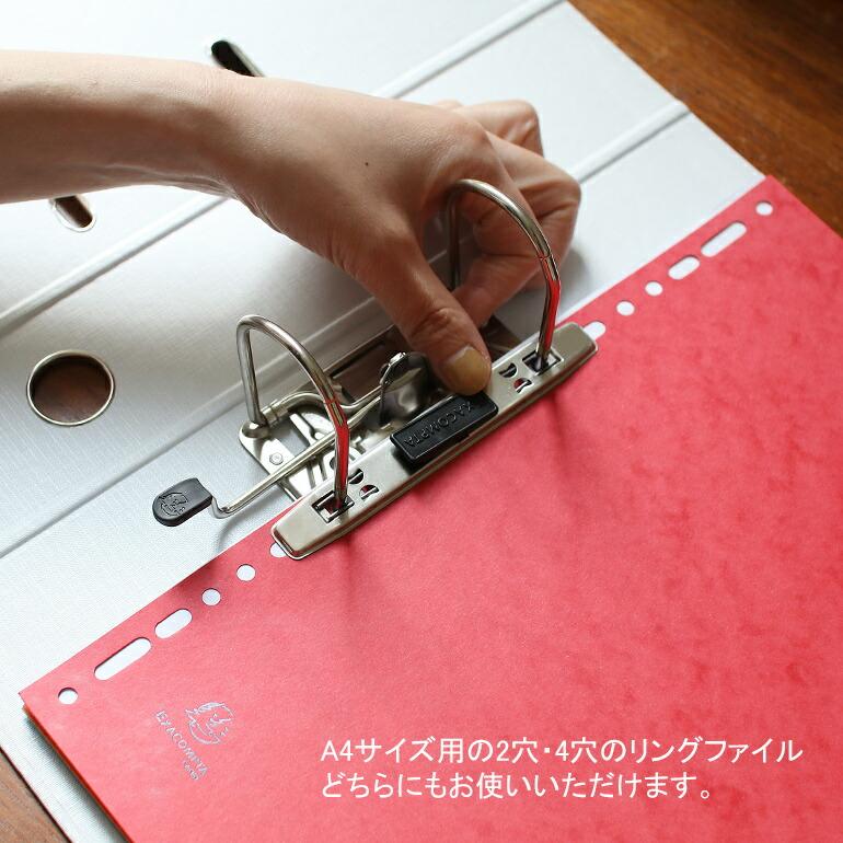 リングファイルA4 2穴 4穴 12分割 書類整理  エグザコンタ EXACOMPTA カラーインデックス | ブランド登録なし | 04