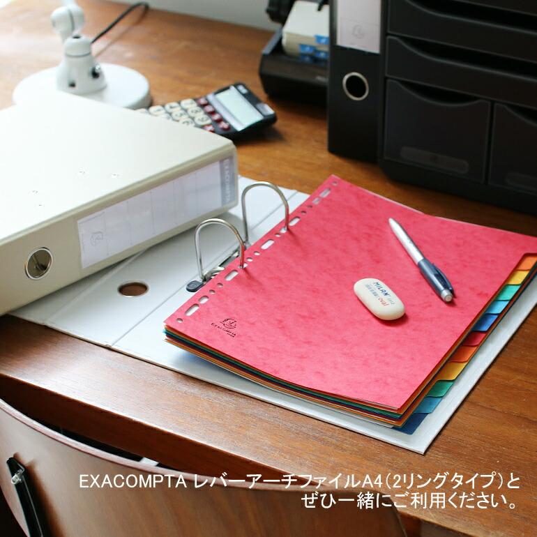 リングファイルA4 2穴 4穴 12分割 書類整理  エグザコンタ EXACOMPTA カラーインデックス | ブランド登録なし | 06