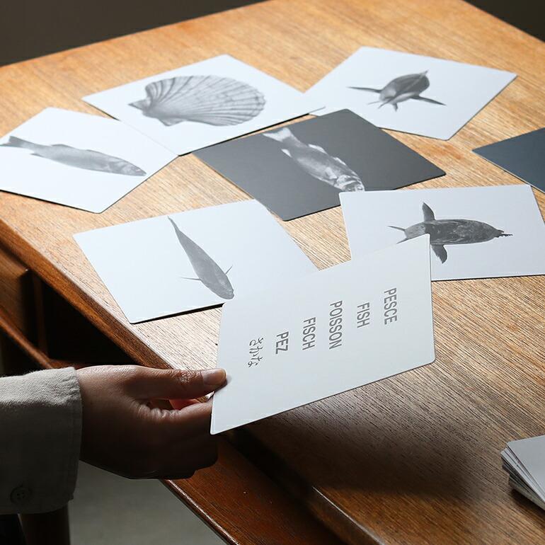 カードゲーム アート コッライーニ ブルーノ・ムナーリ corraini Bruno Munari Images of Reality 現実世界のイメージ | BRUNO | 03