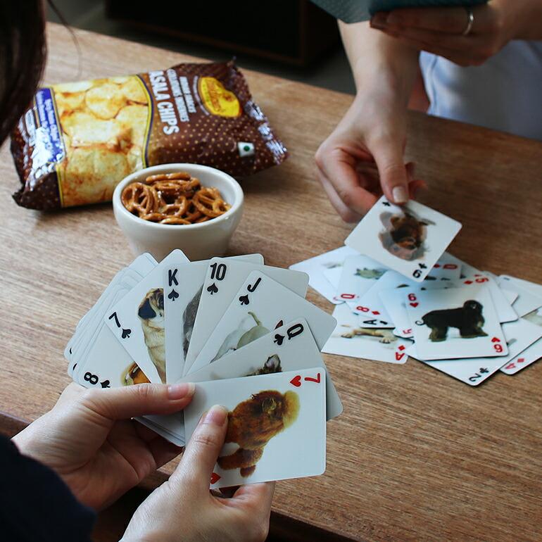 トランプ ネコ 猫 イヌ 犬 3D おしゃれ KIKKERLAND キッカーランド Cat/Dog Cards | KIKKERLAND | 03