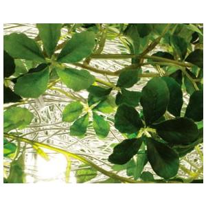 ペンダントライト ディクラッセ オーランド 天井照明 照明 DI CLASSE ペンダントライト Orland | DI CLASSE | 04