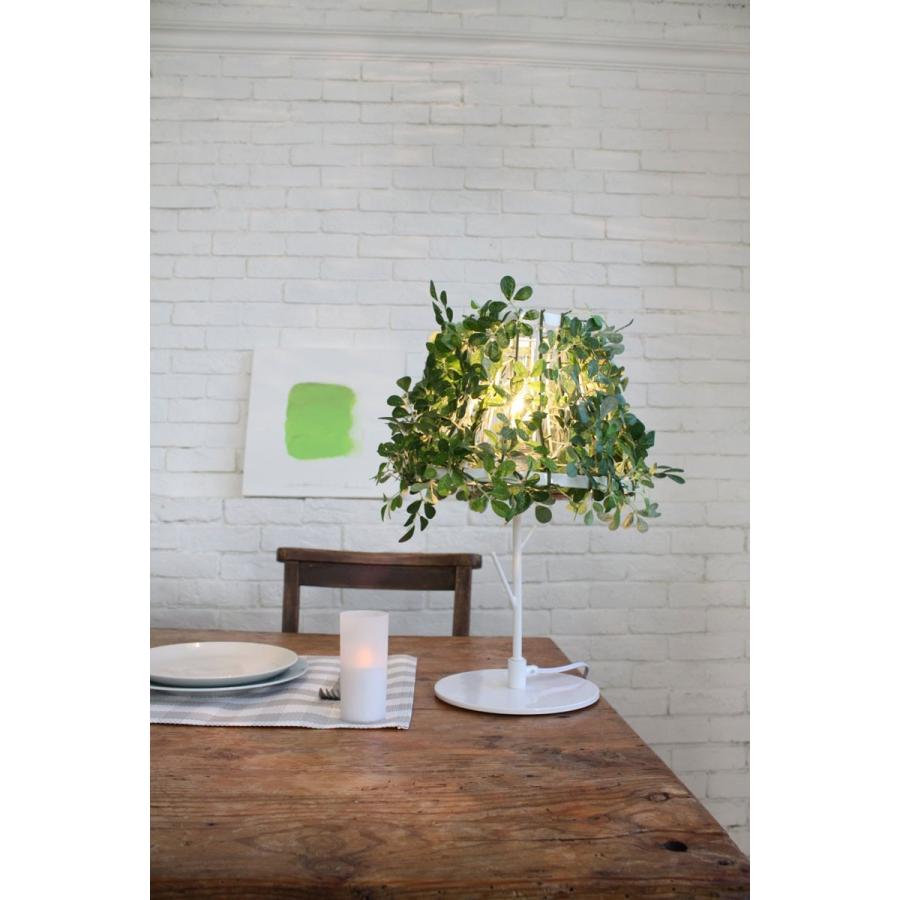 DI CLASSE テーブルライト ディクラッセ フォレスティ テーブルランプ