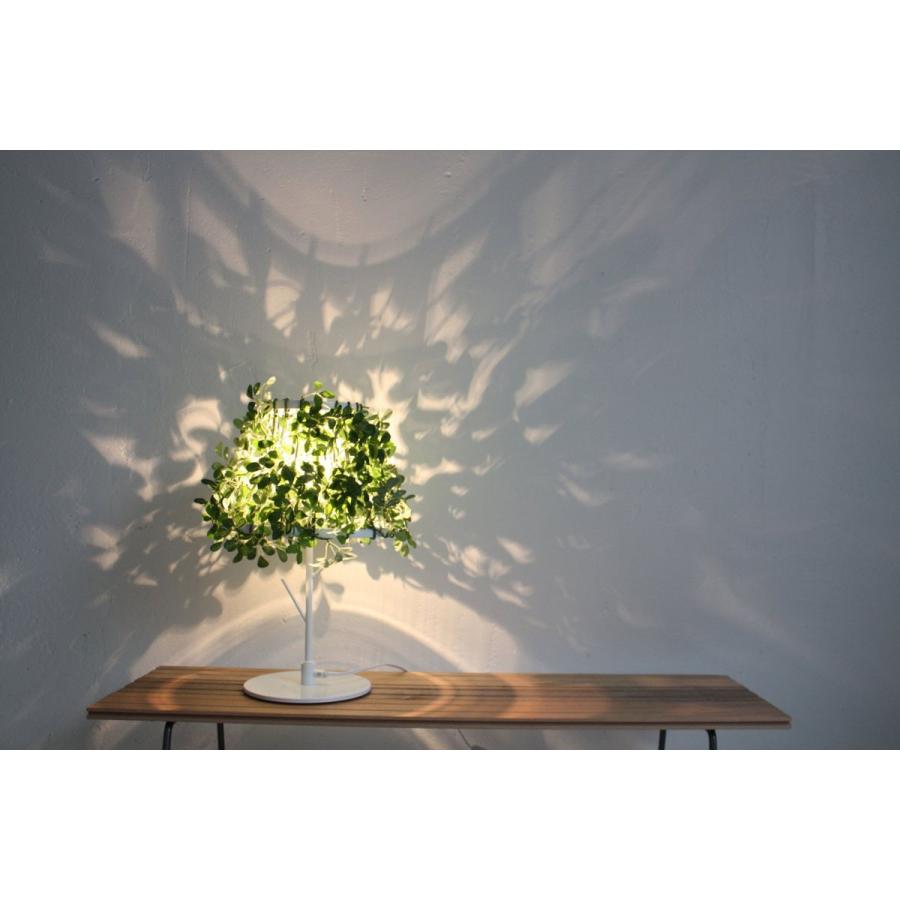 テーブルライト ディクラッセ フォレスティ テーブルランプ DI CLASSE テーブルライト Foresti table lamp | DI CLASSE | 02