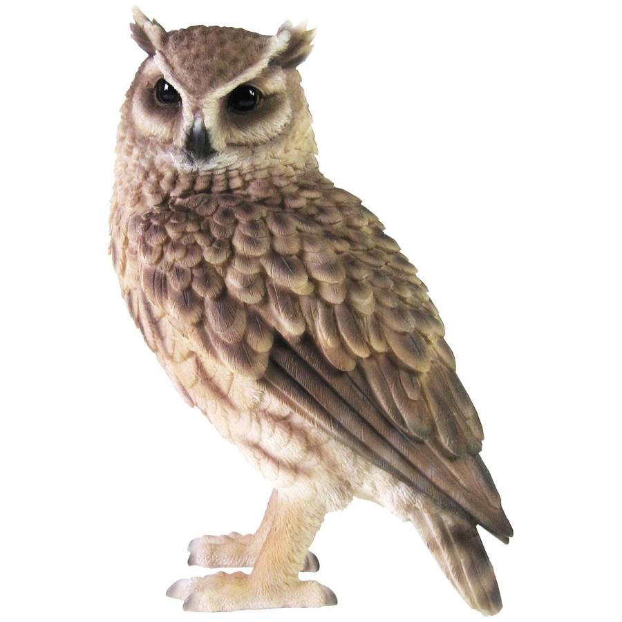 オブジェ ペットバンク オウル 貯金箱 動物 鳥 置物 PET BANK Owl トラフズク | 