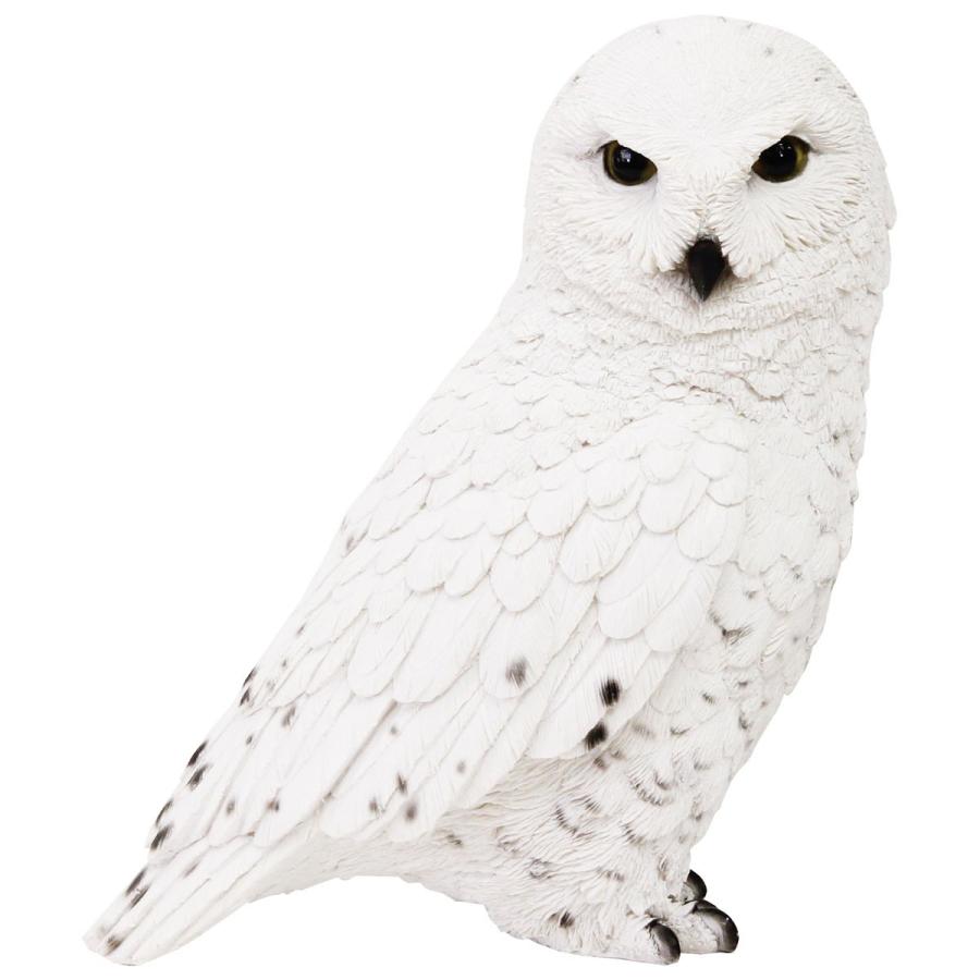 オブジェ ペットバンク オウル 貯金箱 動物 鳥 置物 PET BANK Owl シロフクロウ | 