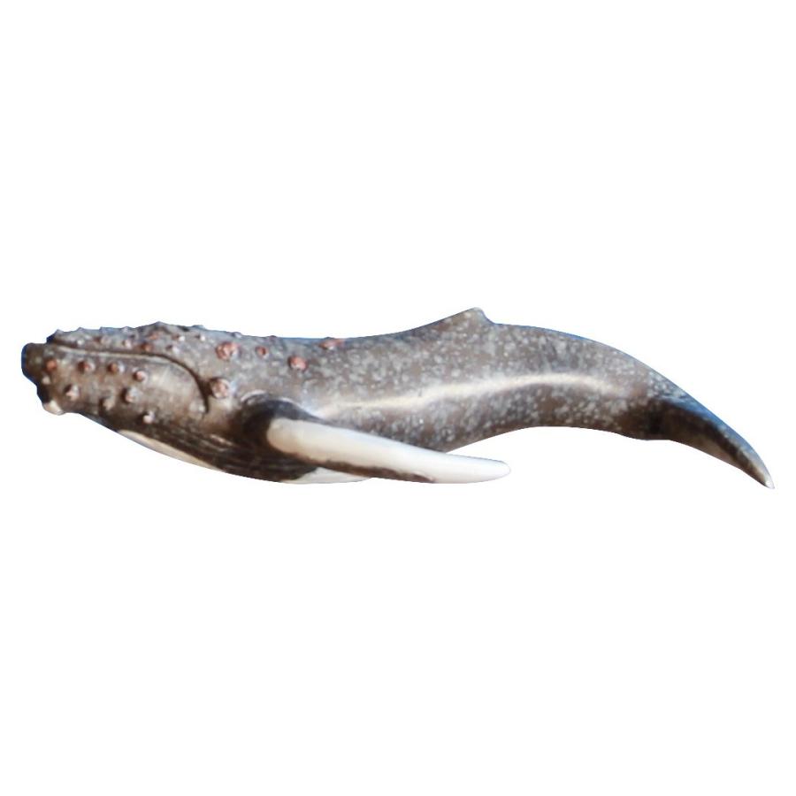 オブジェ アルカイコ 置物 Arcaico ザトウクジラ | 