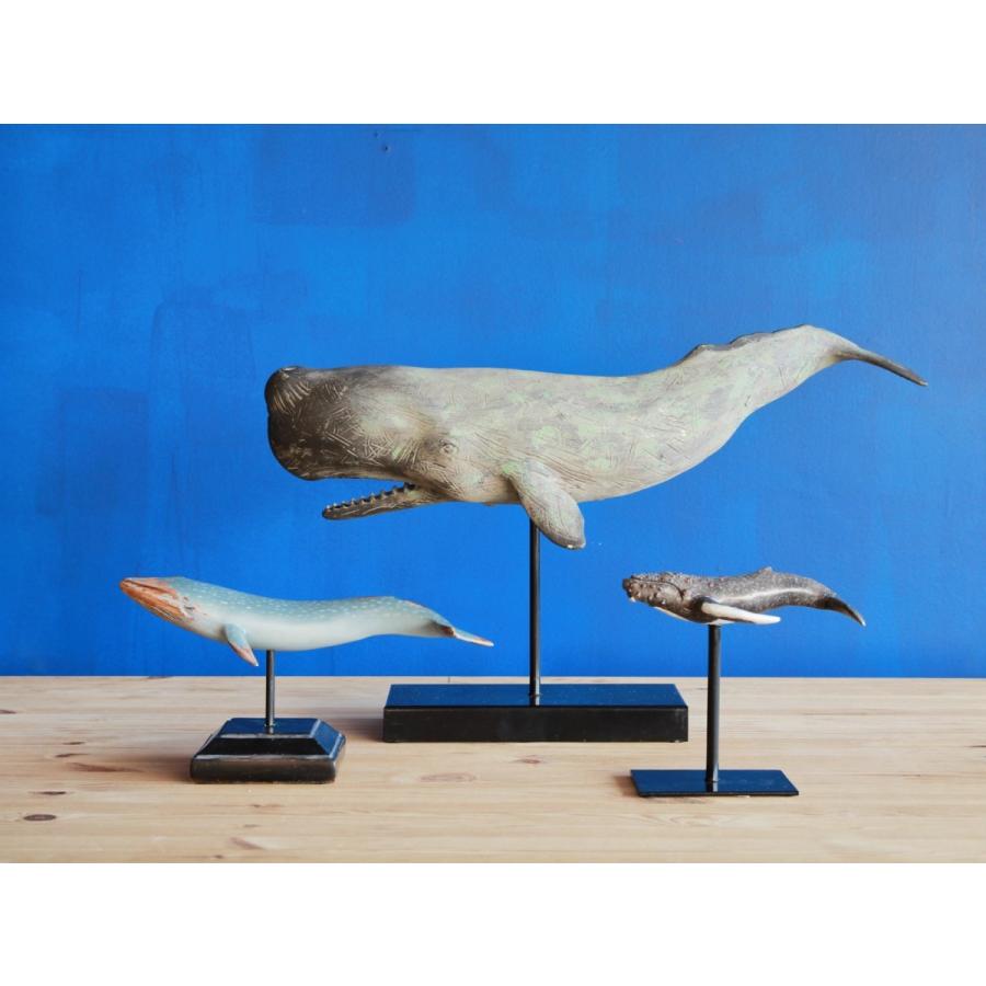 オブジェ アルカイコ 置物 Arcaico マッコウクジラ : クラシモノ