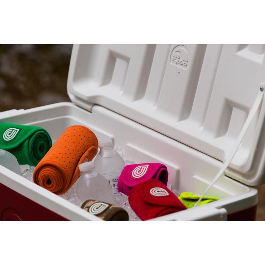 サポーター Dr.Cool アイシング機能 腰 もも 肩 ドクタークール Lサイズ ブラック |  | 01