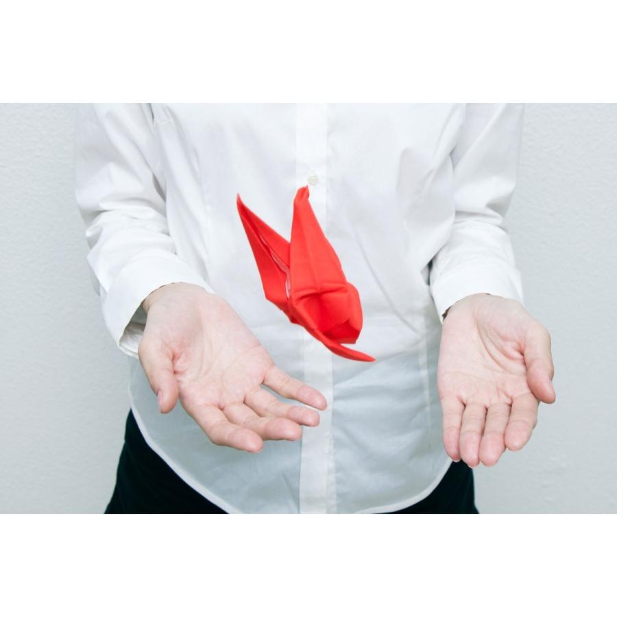 メガネ拭き peti peto メガネクリーナー 眼鏡拭き スマホクリーナー スマホふき プッチペット プチペット シマウマ |  | 04