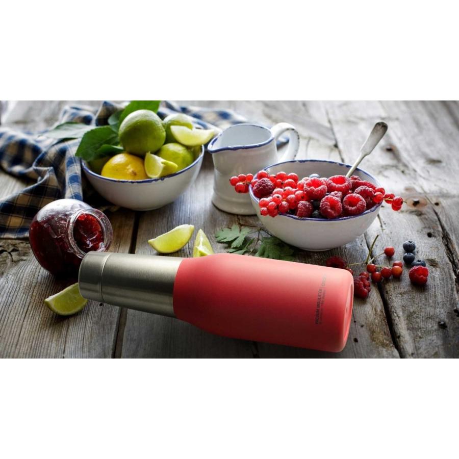 水筒 asobu ファッションボトル OASIS 600ml ステンレスボトル 直飲み 保温保冷 真空断熱 ドリンクボトル アソブ アソブボトル オアシス ピーチ |  | 01