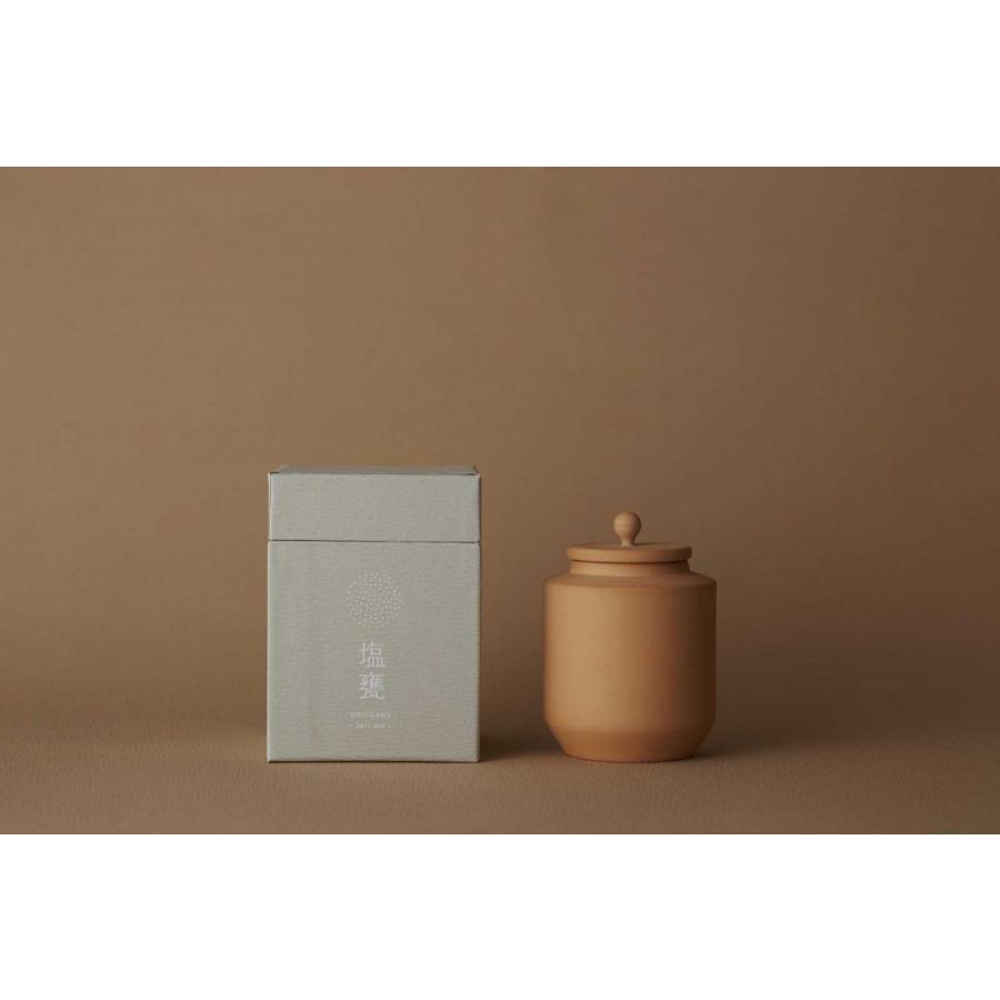 保存容器 WDH 塩甕 大人の逸品ギフト オススメ 化粧箱入り タッパー ダブリューディーエイチ しおがめ 茶 |  | 01