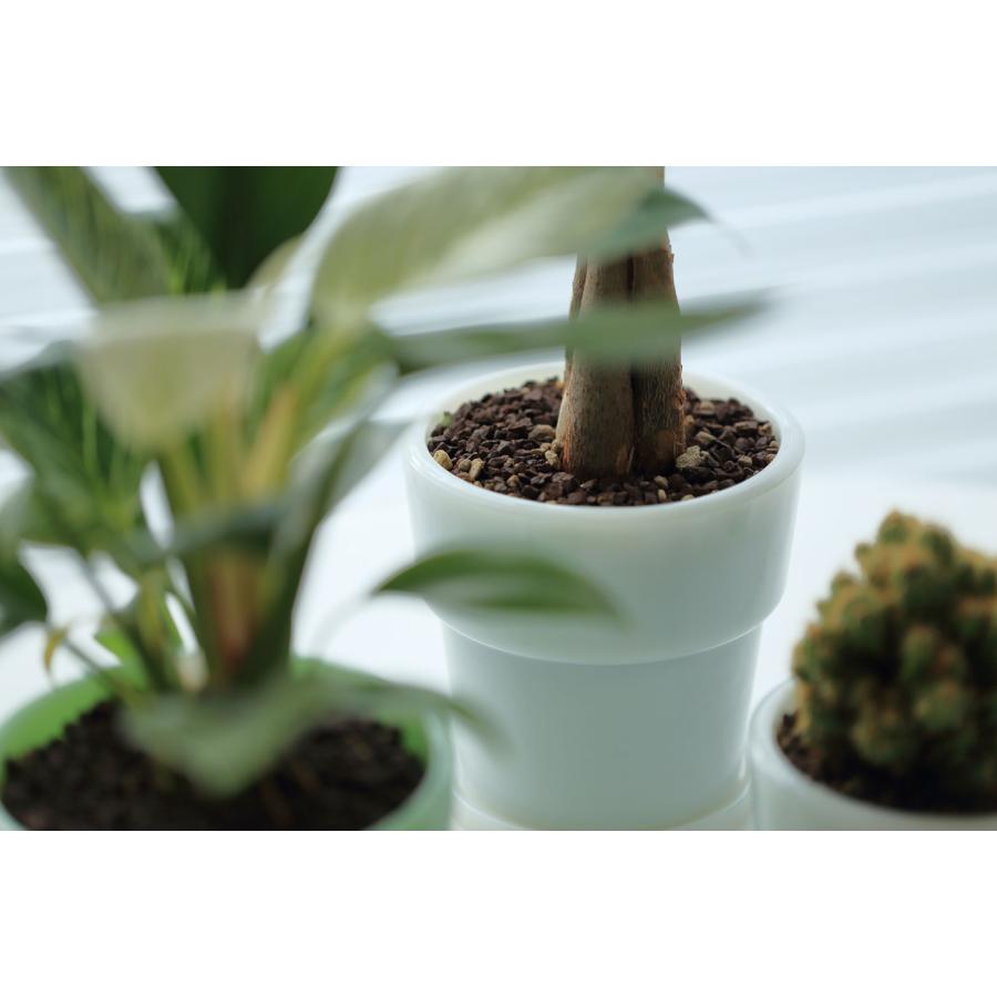 プランターポット ideaco イデアコ Milk Glass Planter Pot4 おしゃれ 多肉植物 観葉植物 室内 ヴィンテージ 鉢植え 植木鉢 正規品 ホワイト |  | 03