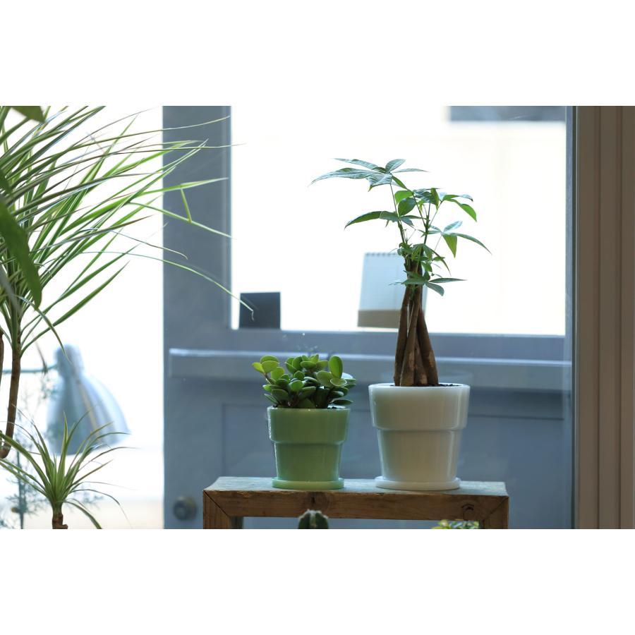 プランターポット ideaco イデアコ Milk Glass Planter Pot4 おしゃれ 多肉植物 観葉植物 室内 ヴィンテージ 鉢植え 植木鉢 正規品 ジェード |  | 02