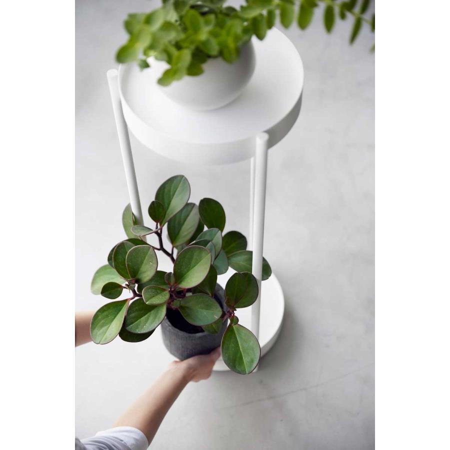 プランタースタンド tower タワー キャスター付きプランタースタンド 2段 スリム コンパクト 観葉植物 園芸 フラワースタンド ガーデンラック 山崎実業 ホワイト | tower | 05