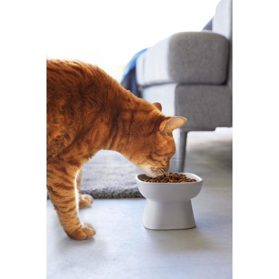 ペットフードボウル nooks ヌークス 食べやすい高さ陶器ペットフードボウル 犬猫用 陶器製 食洗機対応 ペット用品 山崎実業 正規品 ホワイト | 山崎実業 | 07