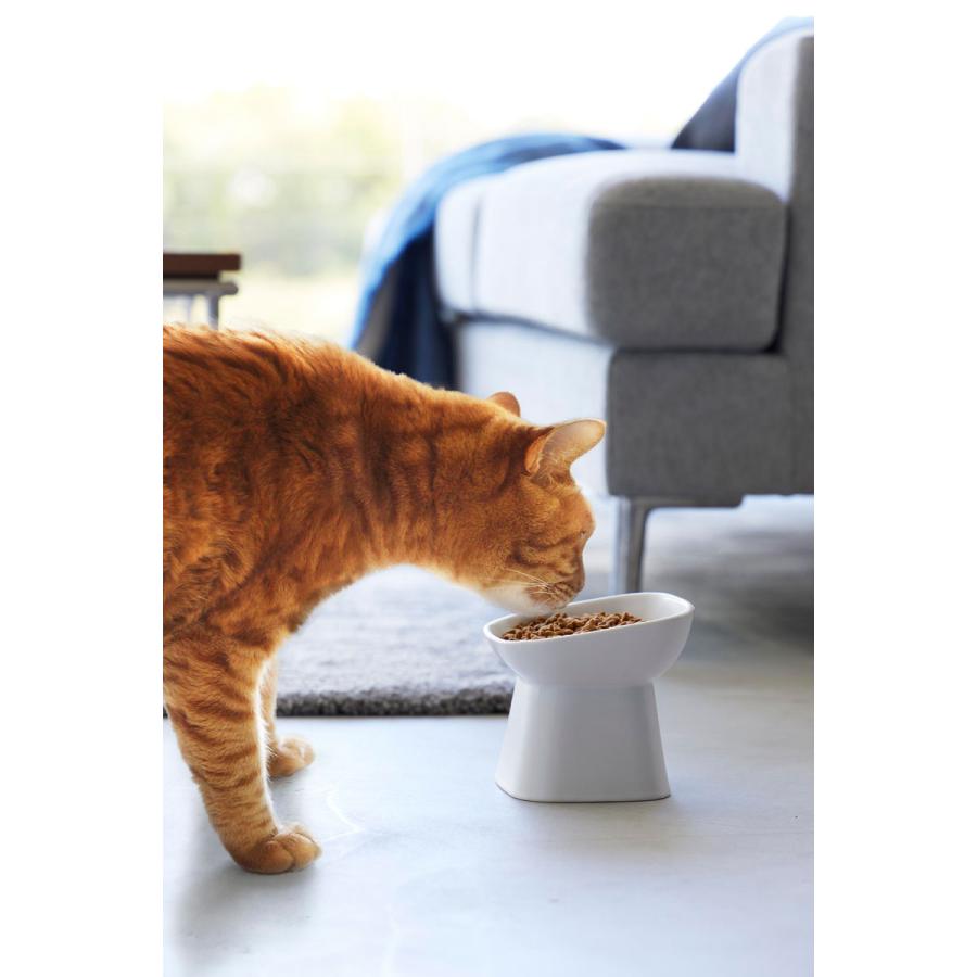 ペットフードボウル nooks ヌークス 食べやすい高さ陶器ペットフードボウル 斜めトール 犬猫用 陶器製 食洗機対応 ペット用品 山崎実業 正規品 ホワイト | 山崎実業 | 07