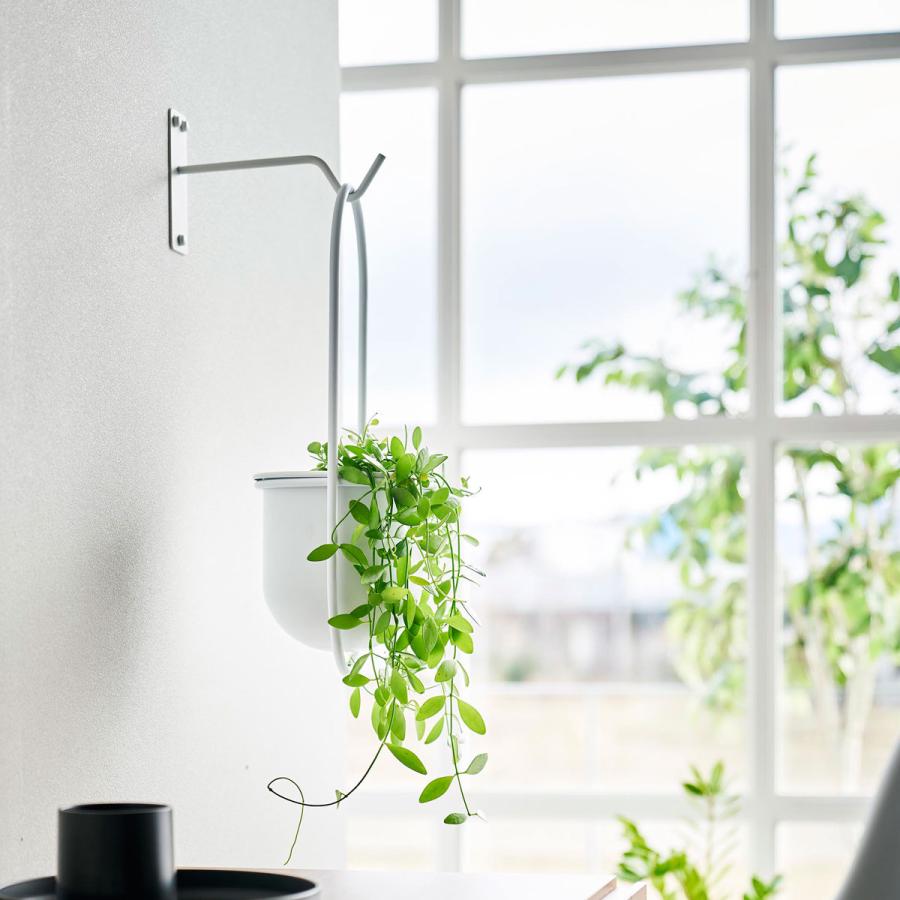 ハンギングフック tower タワー ウォールハンギンググリーンフック 石こうボード壁対応 室内 インテリア 石膏ボード プランター 観葉植物 山崎実業 ホワイト | tower