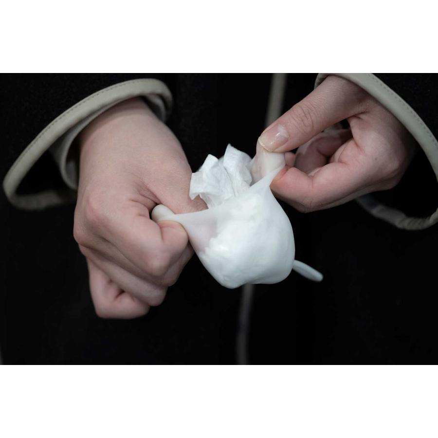 エコバッグ 100percent COCOON - Regular 専用樹脂ケース付き 超軽量 日本製 折りたたみ 100％ 100パーセント マスカット | 100percent | 04