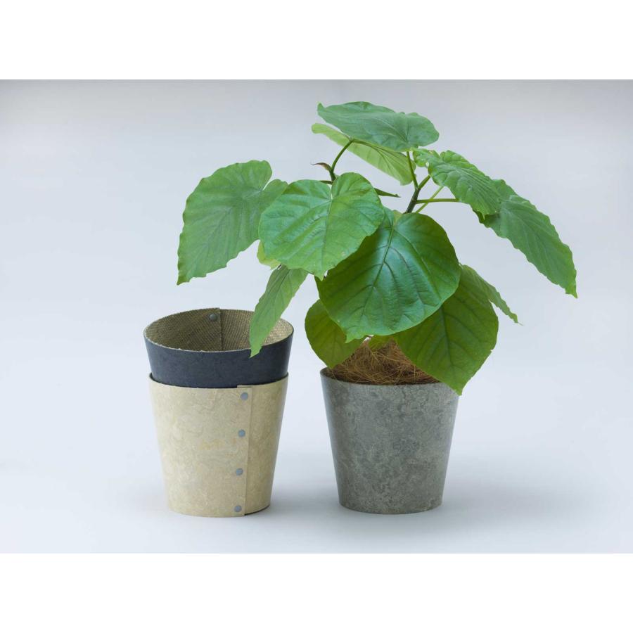 鉢カバー 100percent EARTH POT - Linoleum - S+ サステナブル 観葉植物 多肉植物 100％ 100パーセント ダークグレー | 100percent | 01