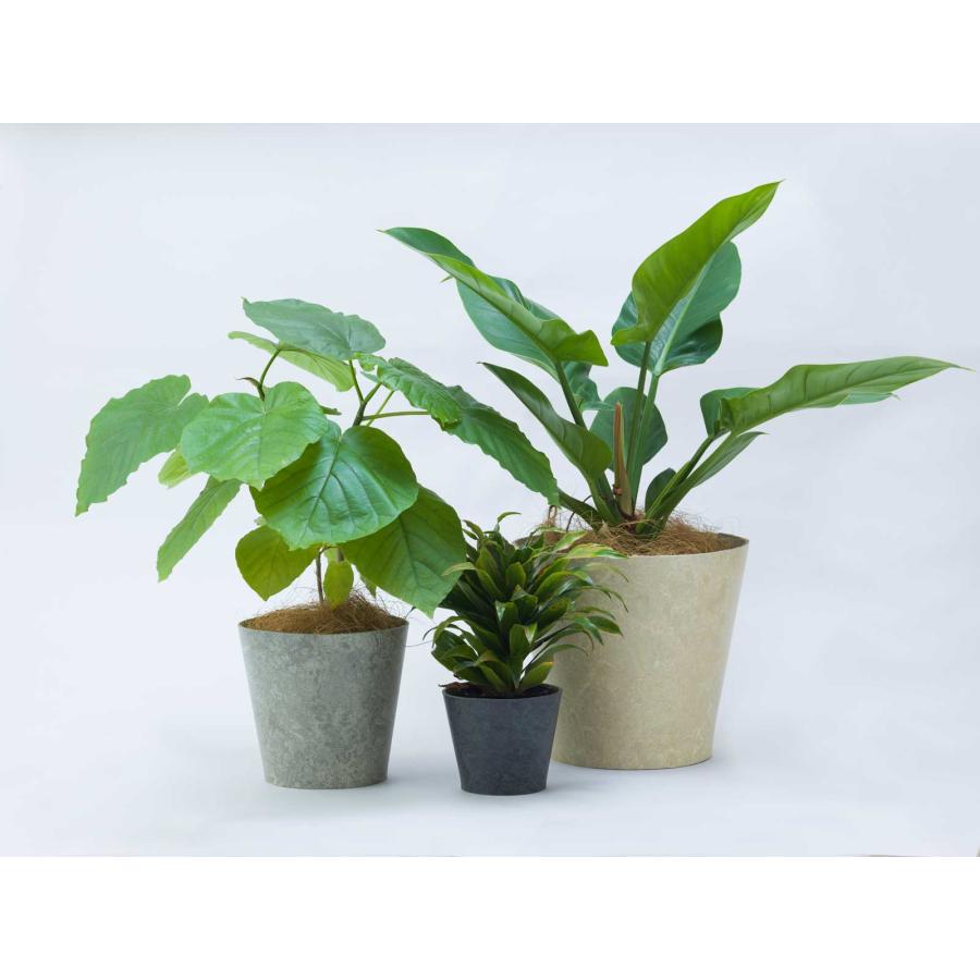 鉢カバー 100percent EARTH POT - Linoleum - M サステナブル 観葉植物 多肉植物 100％ 100パーセント ベージュ | 100percent | 02