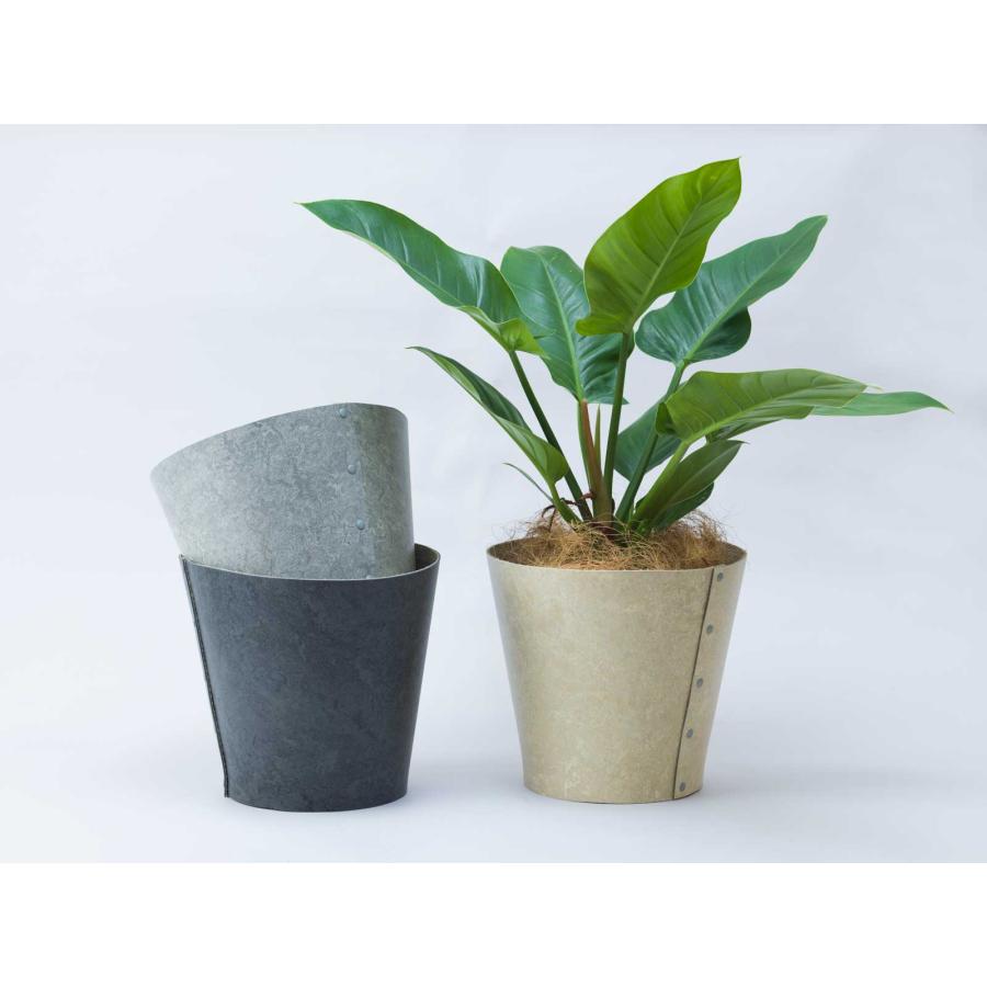 鉢カバー 100percent EARTH POT - Linoleum - M サステナブル 観葉植物 多肉植物 100％ 100パーセント ライトグレー | 100percent | 01