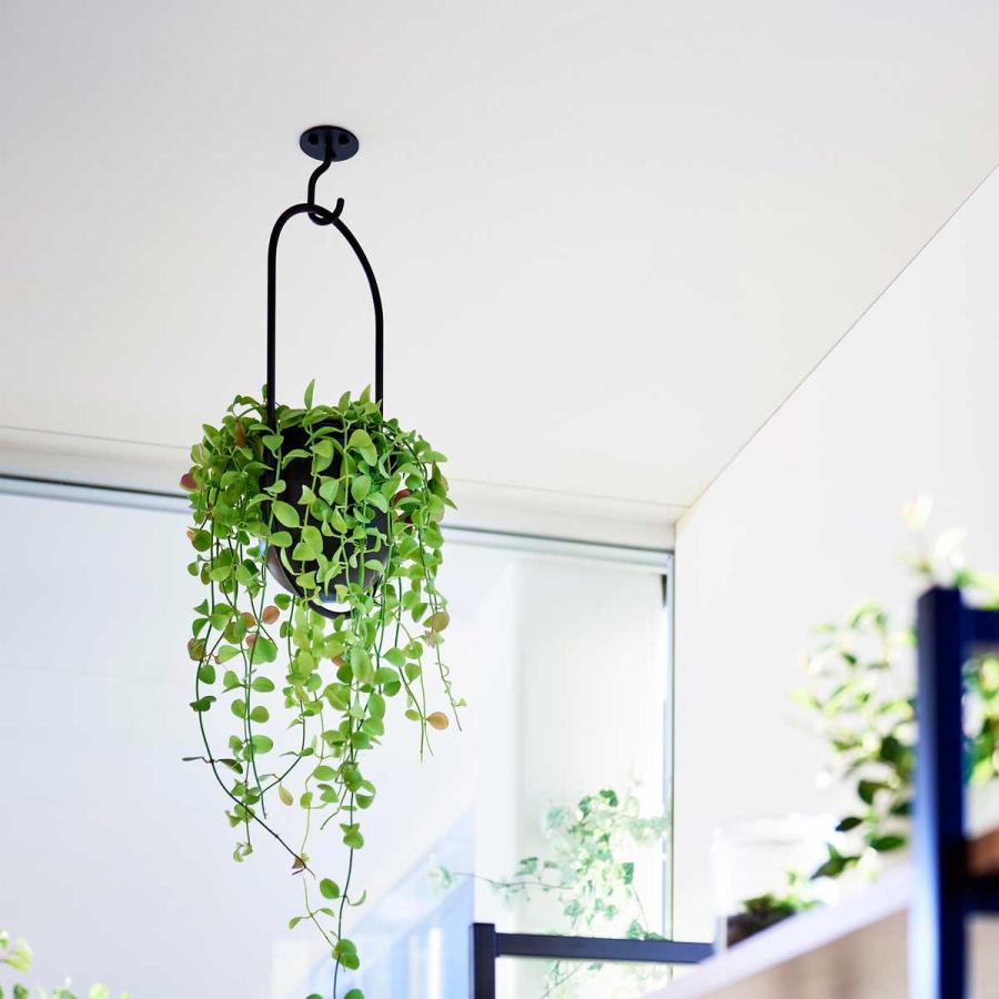 吊り下げフック tower タワー 天井から吊り下げできるプランターフック 石こうボード壁対応 ガーデニング用品 室内 天井 山崎実業 正規品 10228 ブラック | tower