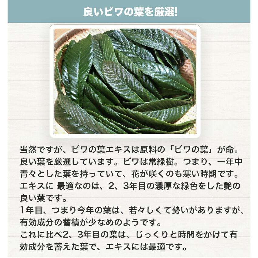 紀州橋本里山農園 ビワの葉 エキス100ml 和歌山県産 無農薬 有機栽培
