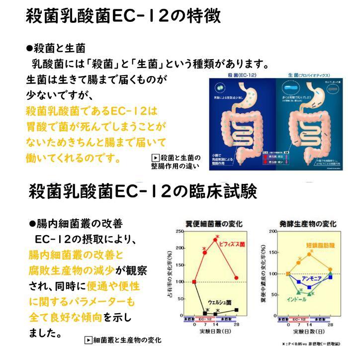 乳酸菌 肝油ドロップ 2缶セット 鮫 昔ながらの 120粒 200gオレンジ味