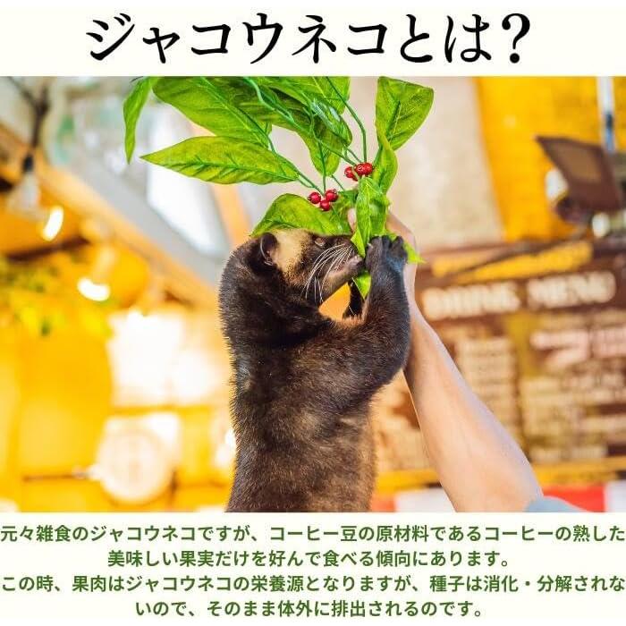 イタチコーヒー Weasel Coffee ドリップコーヒー 39g 3パック イタチコーヒー Weasel Coffee ドリップコーヒー 39g 3パック