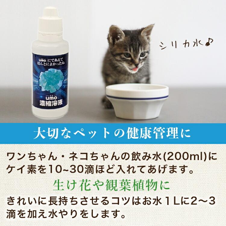 UMO 濃縮溶液500ml アンレーヴ 正規品 ウモ 活性珪素 飲むシリカ UMO 濃縮溶液500ml アンレーヴ 正規品 ウモ 活性珪素 飲むシリカ