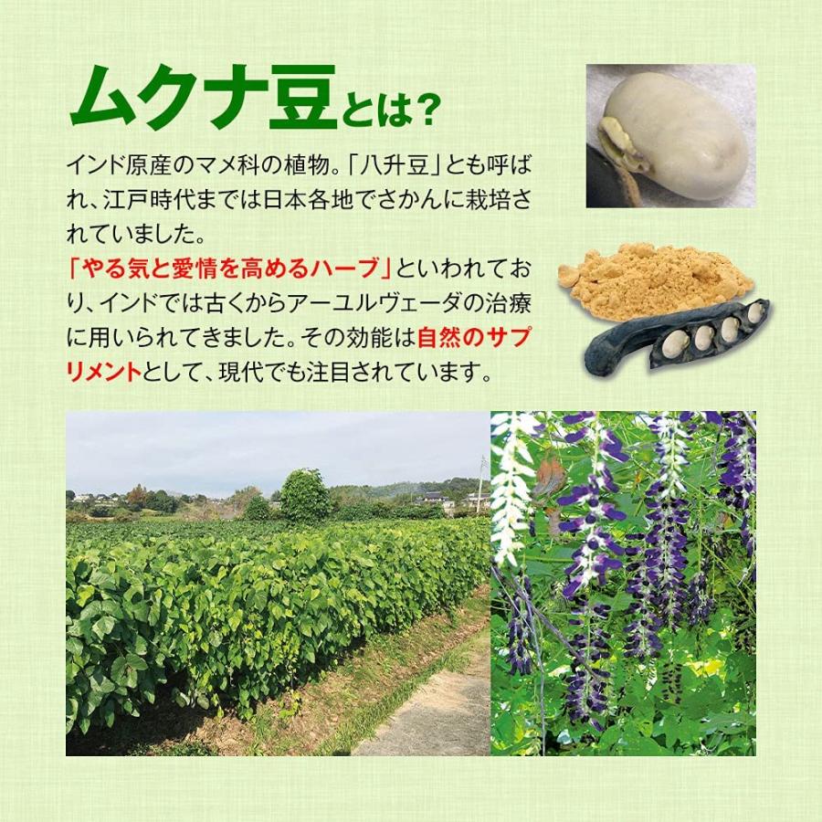 むくな豆 焙煎粉末100％ 100g 正規品 熊本産 無農薬 むくな 元気 健康