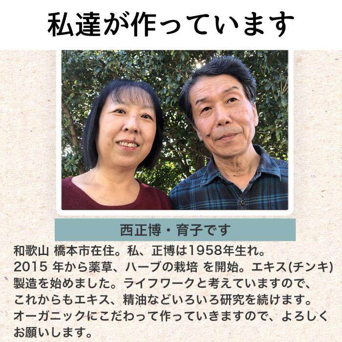 紀州橋本里山農園 ヨモギエキス 100ml 1本 で1000mLの 化粧水 国産 無