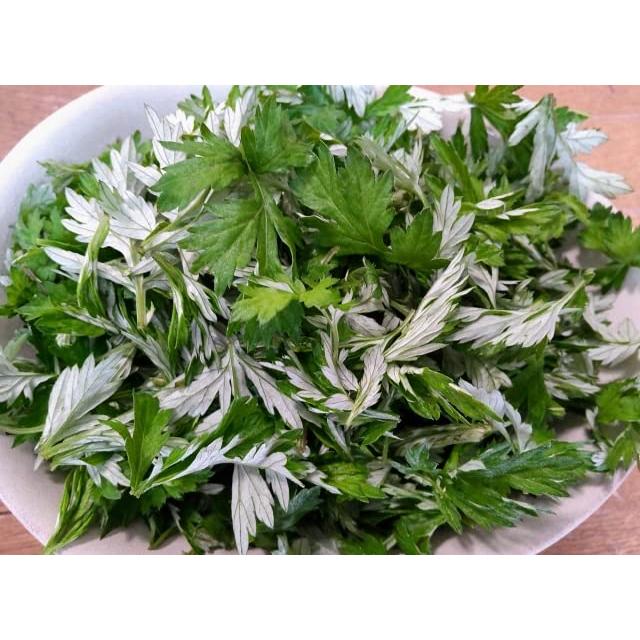 15％OFF【紀州産ヨモギエキス100mL×5本セット:405】国産 無農薬 紀州橋本里山農園 ヨモギエキス 100ml 1本 で1000mLの 化粧水 国産 無