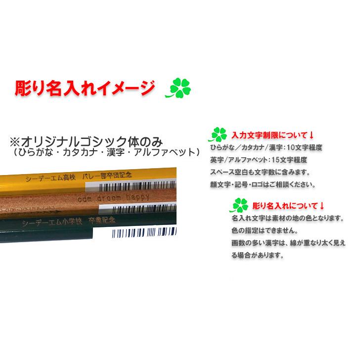 新版 シャープペン0 5mm プレゼント Ohto 入学記念品 名入れ 木軸シャープ消しゴム