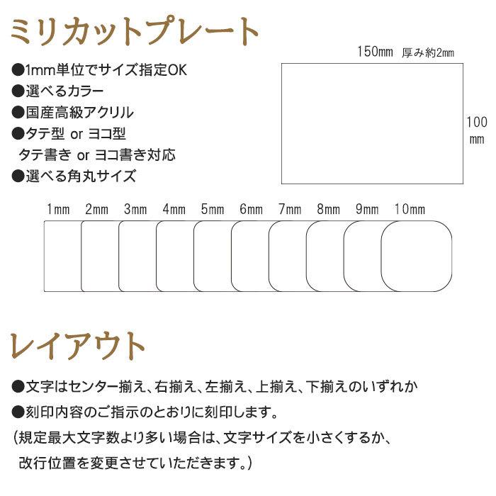 名入れ 額装 高級デザインプレート サイズオーダー ポスト マンション