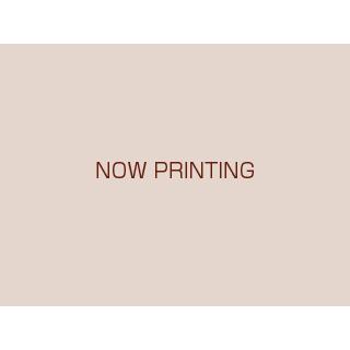 OGK スペアレンズ V-SR-01NXT （適応モデル：ビストフォトクロミック 専用） （アイウェア 補修パーツ） OGK KABUTO オージーケー カブト VIST アイウェア カブト スペアレンズの通販