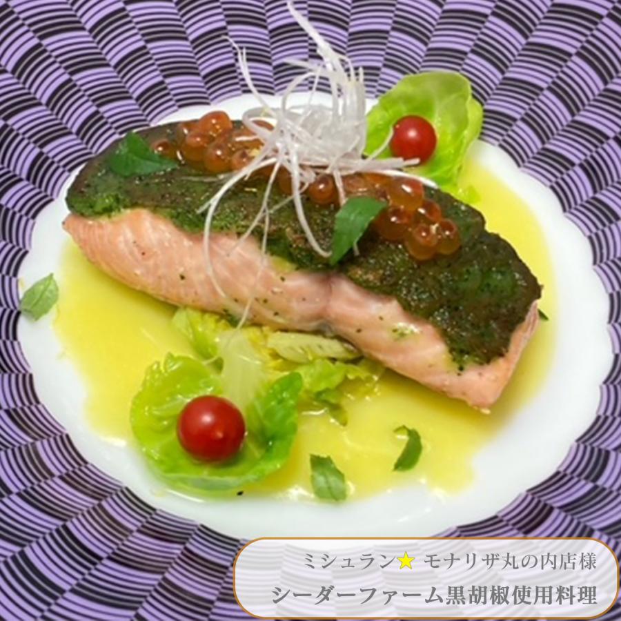 黒胡椒 ブラックペッパー 100g 黒の衝撃 乾燥胡椒 カンポットペッパー