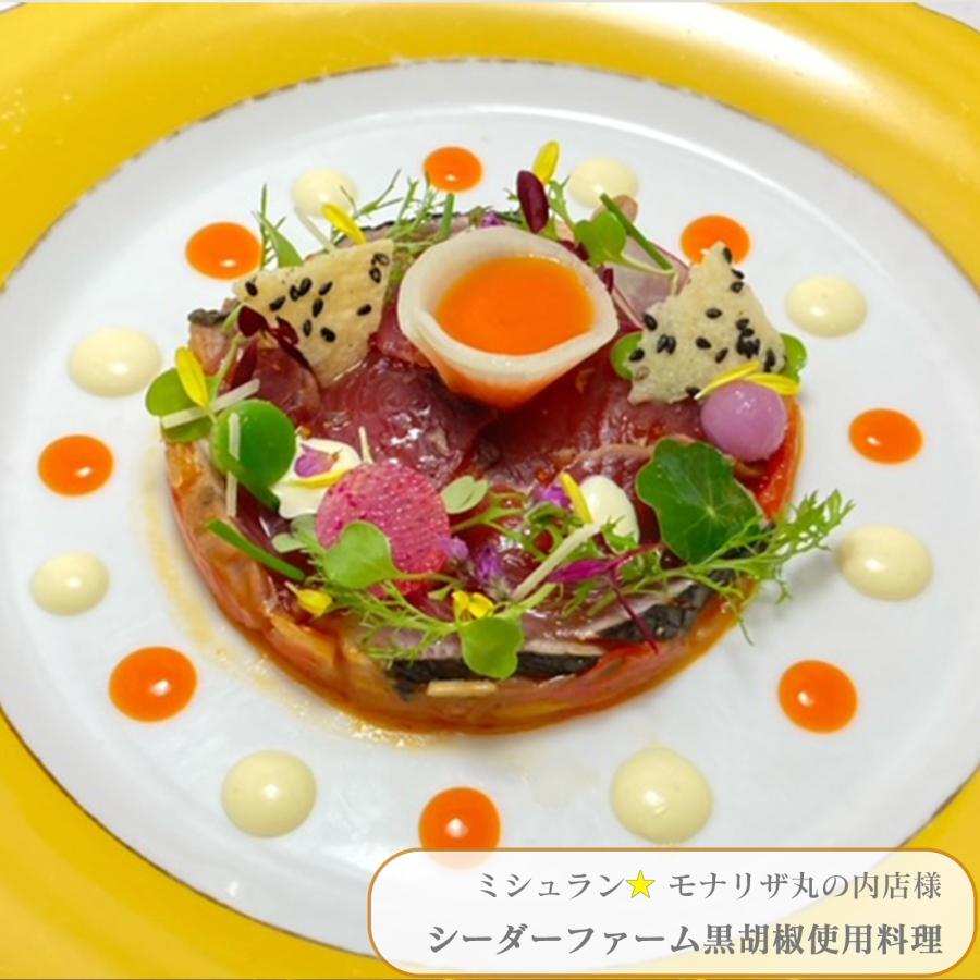 黒胡椒 ブラックペッパー 100g 黒の衝撃 乾燥胡椒 カンポットペッパー