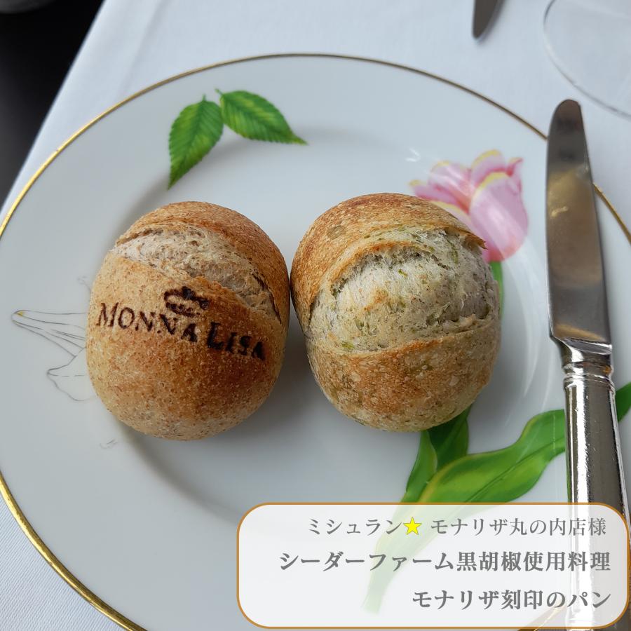 黒コショウ様 黒胡椒 ブラックペッパー 100g 黒の衝撃 乾燥胡椒 カンポットペッパー