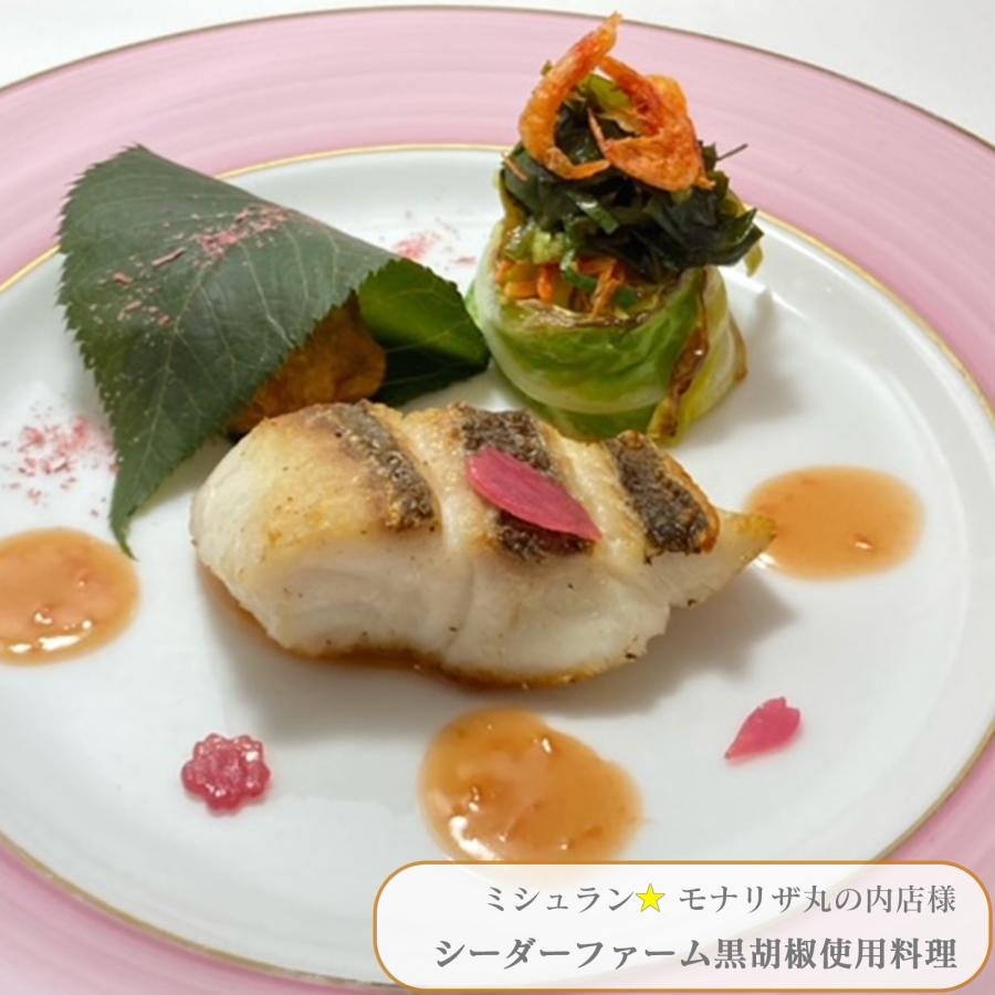 黒胡椒 ブラックペッパー 100g 黒の衝撃 乾燥胡椒 カンポットペッパー