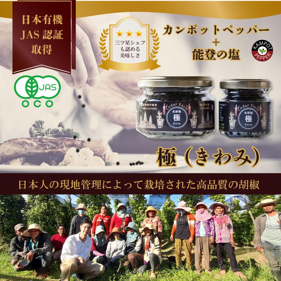 塩漬け生胡椒 極（きわみ） 最高級 生胡椒 塩漬け 能登の塩 で