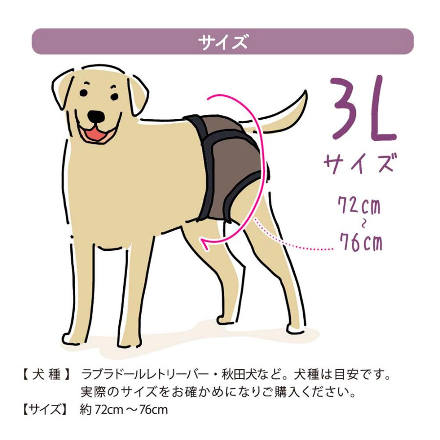 未使用 訳あり 犬用マナーパンツ 3L 確認用です