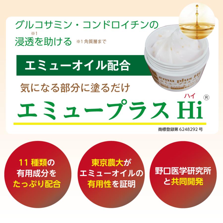 エミュープラスHi 80g【チューブタイプ】×2個セット[野口医学 エミュープラスHi 80g【チューブタイプ】×2個セット[野口医学
