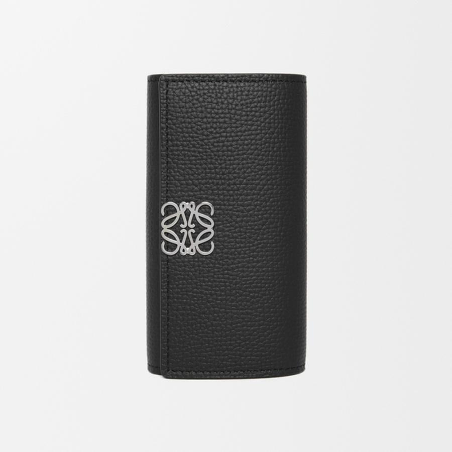美品　ロエベ　キーリング付ケース　アナグラム　財布　LOEWE LOEWE（ロエベ） LOEWE 2025秋冬レディース アナグラム キーケース