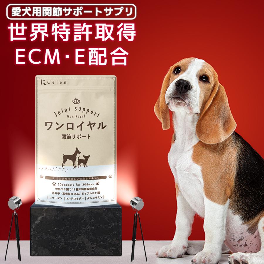 特許成分 Ecme 配合 Wan Royal ワンロイヤル 関節 サポート 犬 犬用 老犬 サプリ サプリメント グルコサミン ドッグフード おやつ ギフト プレゼント セレン 公式ショップ Yahoo 店 通販 Yahoo ショッピング