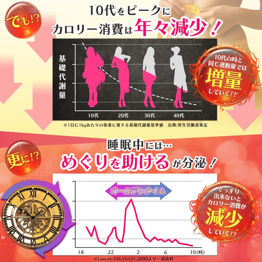 健康補助食品】ダイエットサプリ 寝ている間の 燃焼系 燃やさナイト 60