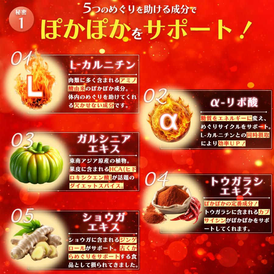 健康補助食品】ダイエットサプリ 寝ている間の 燃焼系 燃やさナイト 60