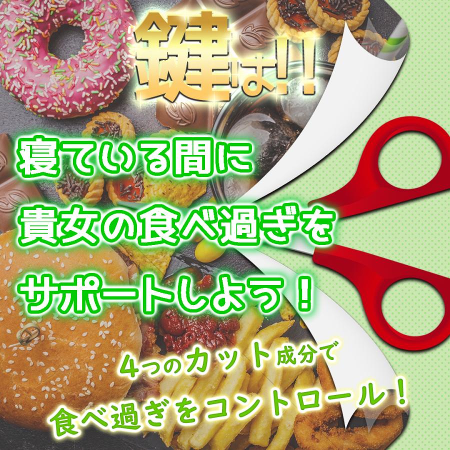 健康補助食品】ダイエットサプリ 寝ている間の カロリー対策 健康補助食品】ダイエットサプリ 寝ている間の カロリー対策