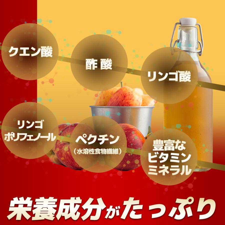 【栄養機能食品】 ＡＰＰＳ りんご酢 サプリ アップルサイダービネガー ダイエットサプリ 脂肪燃焼 激やせ ダイエット｜celen｜08